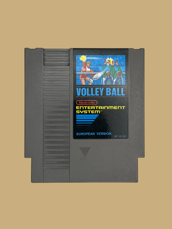 Nes volley ball front