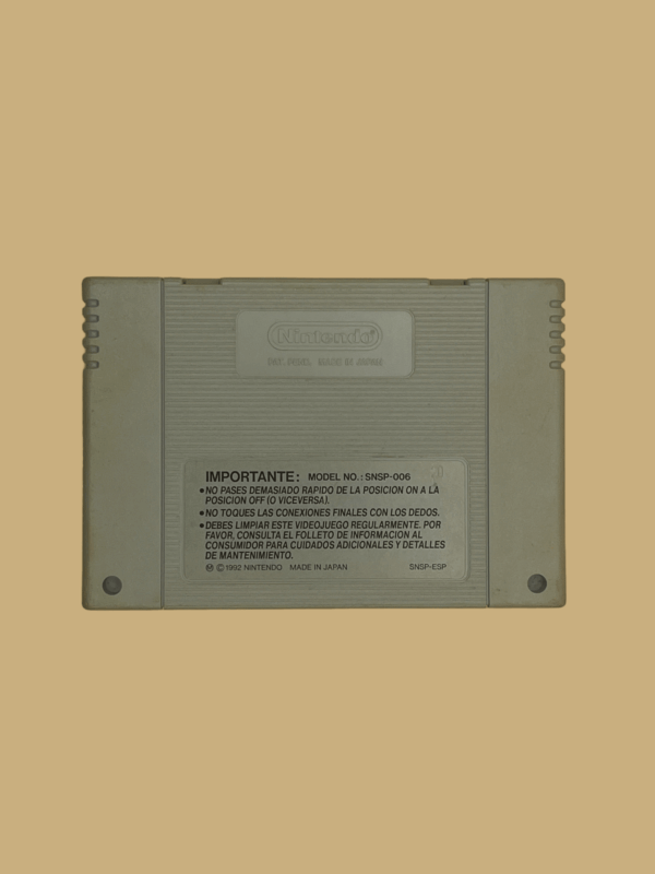 Snes double dragon back