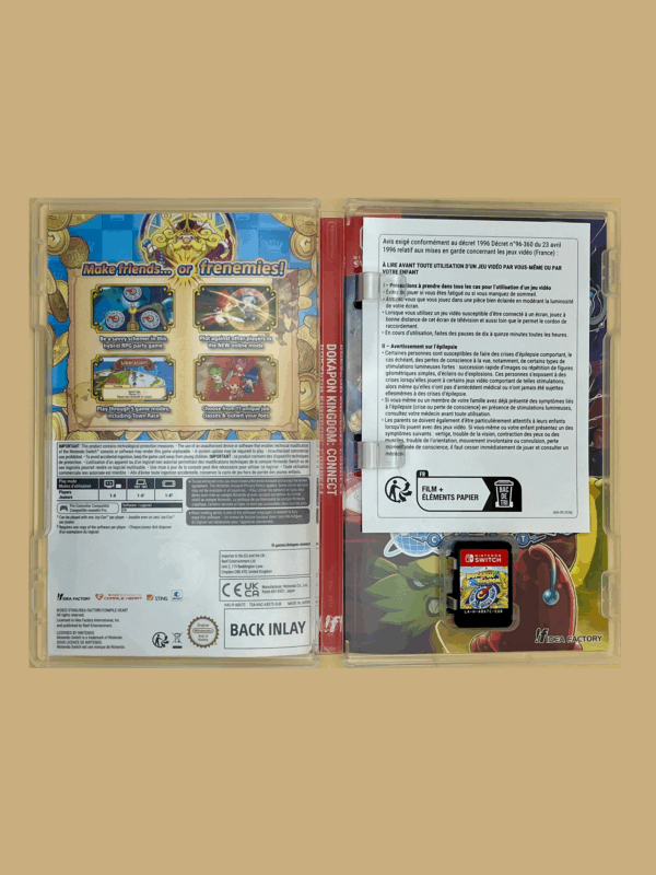 Nintendo switch dokapon kingdom connect modul