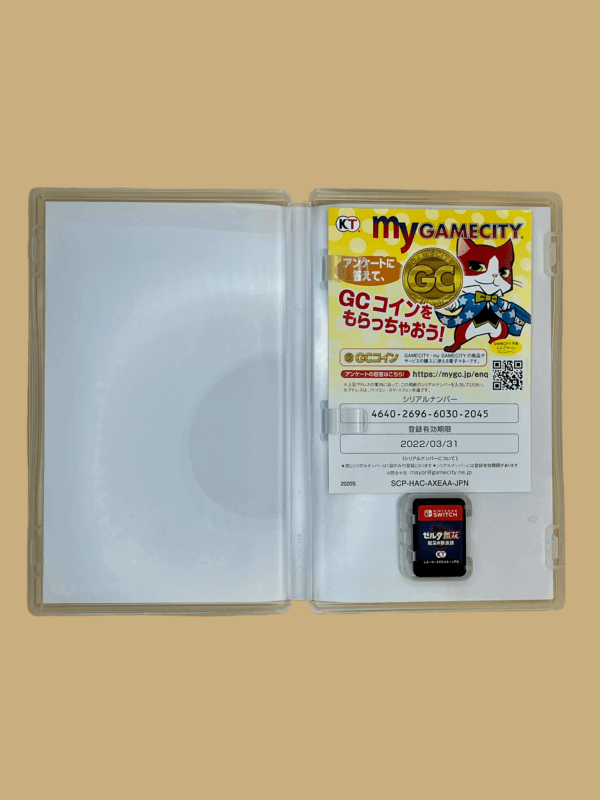 Nintendo switch hyrule warriors age of calamity modul