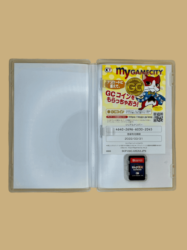 Nintendo switch hyrule warriors age of calamity modul