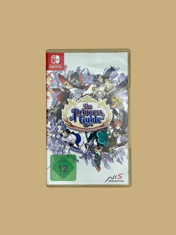 Nintendo switch the princess guide front