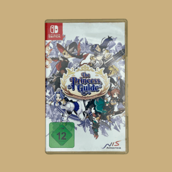 Nintendo switch the princess guide front