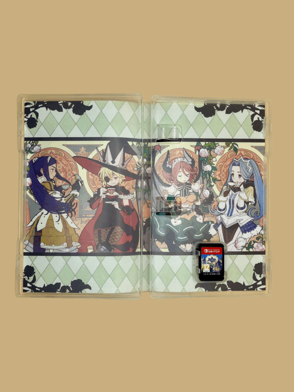 Nintendo switch the princess guide modul