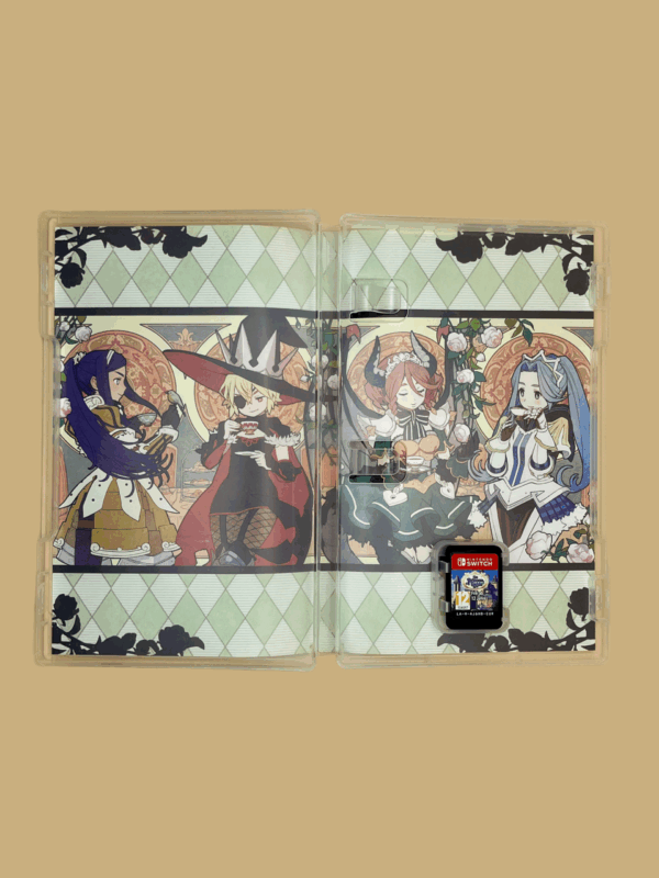 Nintendo switch the princess guide modul