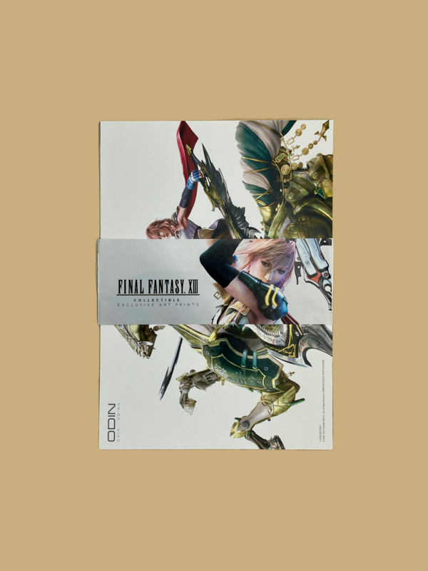 Playstation 3 final fantasy xiii limitierte sammler edition cards