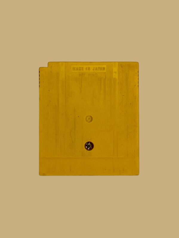 Donkey Kong Land 2 - Image 2