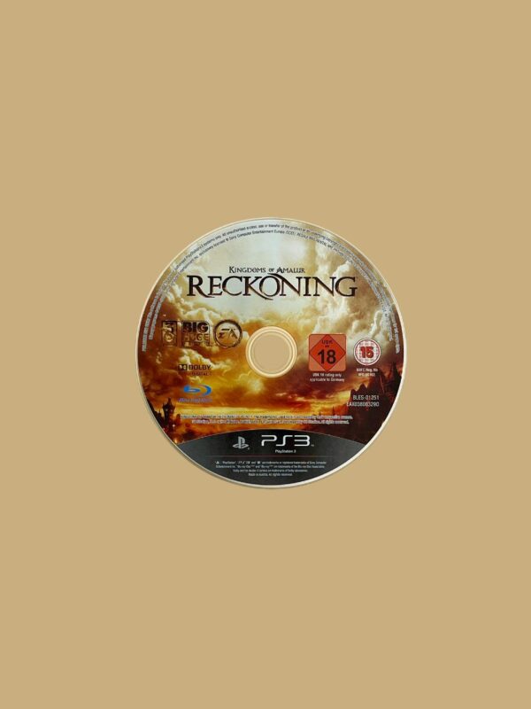 Kingdoms of Amalur: Reckoning - Image 3