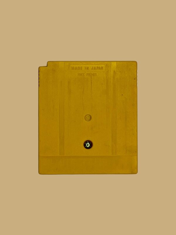 Donkey Kong Land 3 - Image 2