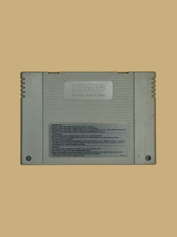 Donkey Kong Country 2: Diddy's Kong Quest – Bild 2