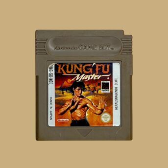 Kung Fu Master