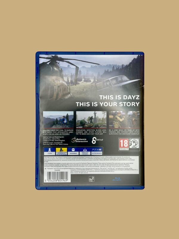DayZ – Bild 2