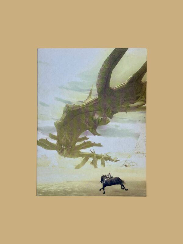 Shadow of the Colossus – Bild 3